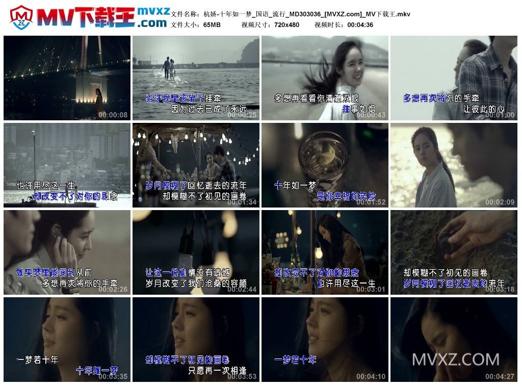 杭娇-十年如一梦_国语_流行_MD303036